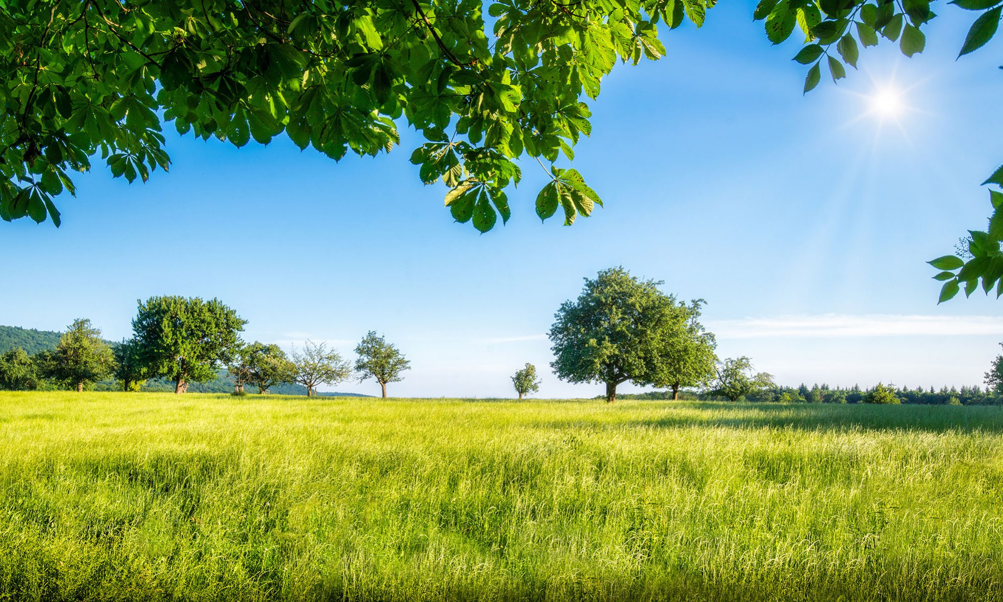 Barcode Alarm Clock Tooltaps iPhone Apps